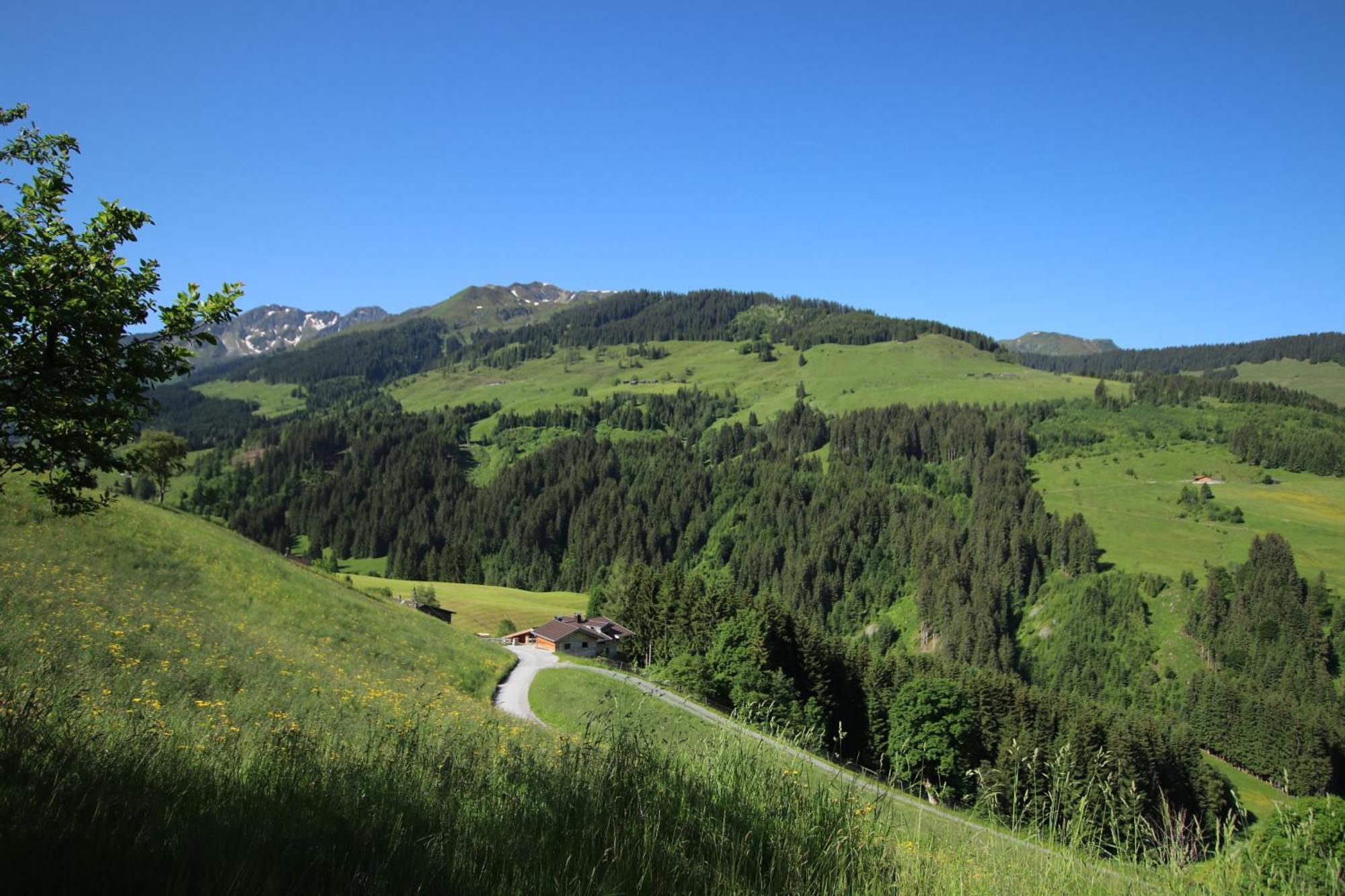 Ferienwohnung Bergpanorama Wild600 Schwarzenau  Bagian luar foto